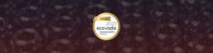 TN is EcoVadis Gold Medal